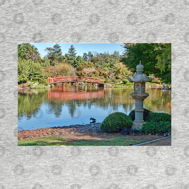 Japanese Garden, Dubbo, NSW by clearviewstock